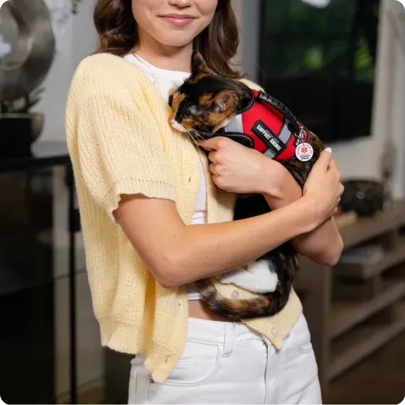 A woman in a yellow cardigan gently holding a calico cat wearing a red emotional support animal harness